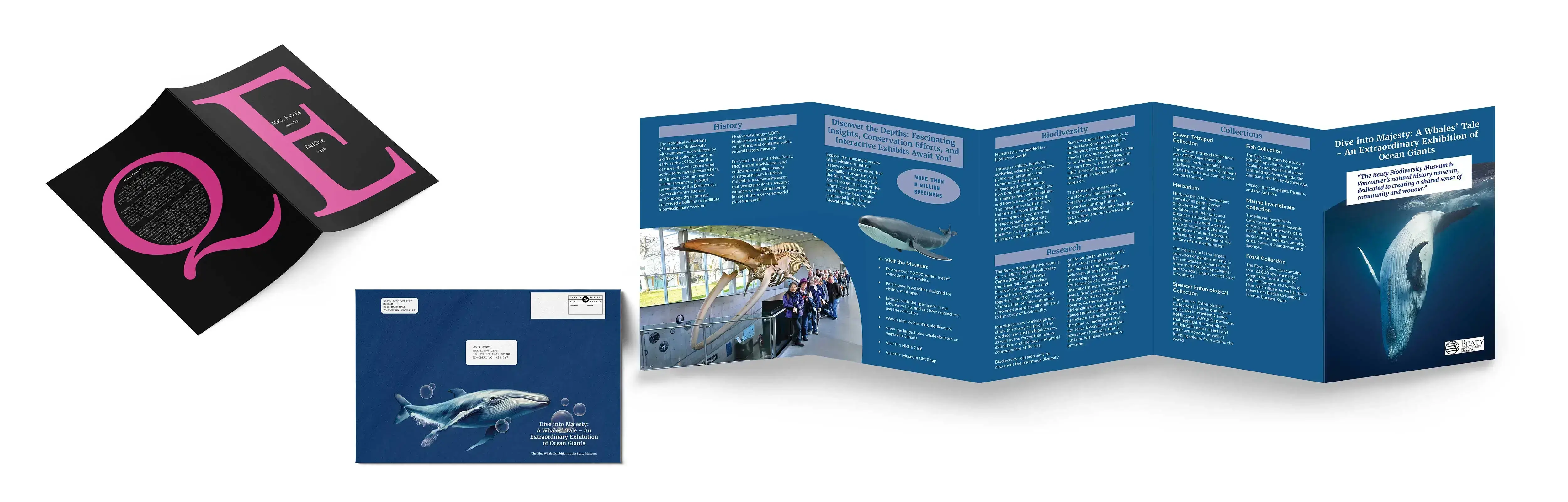 Celisse Banner imgage Celisse Desktop Mockups