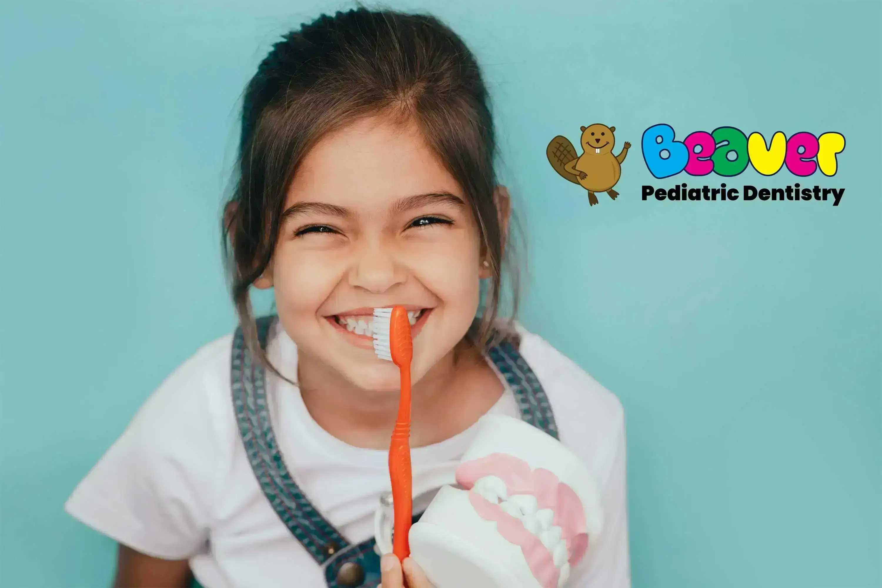 Dentist Beaver photo advertising