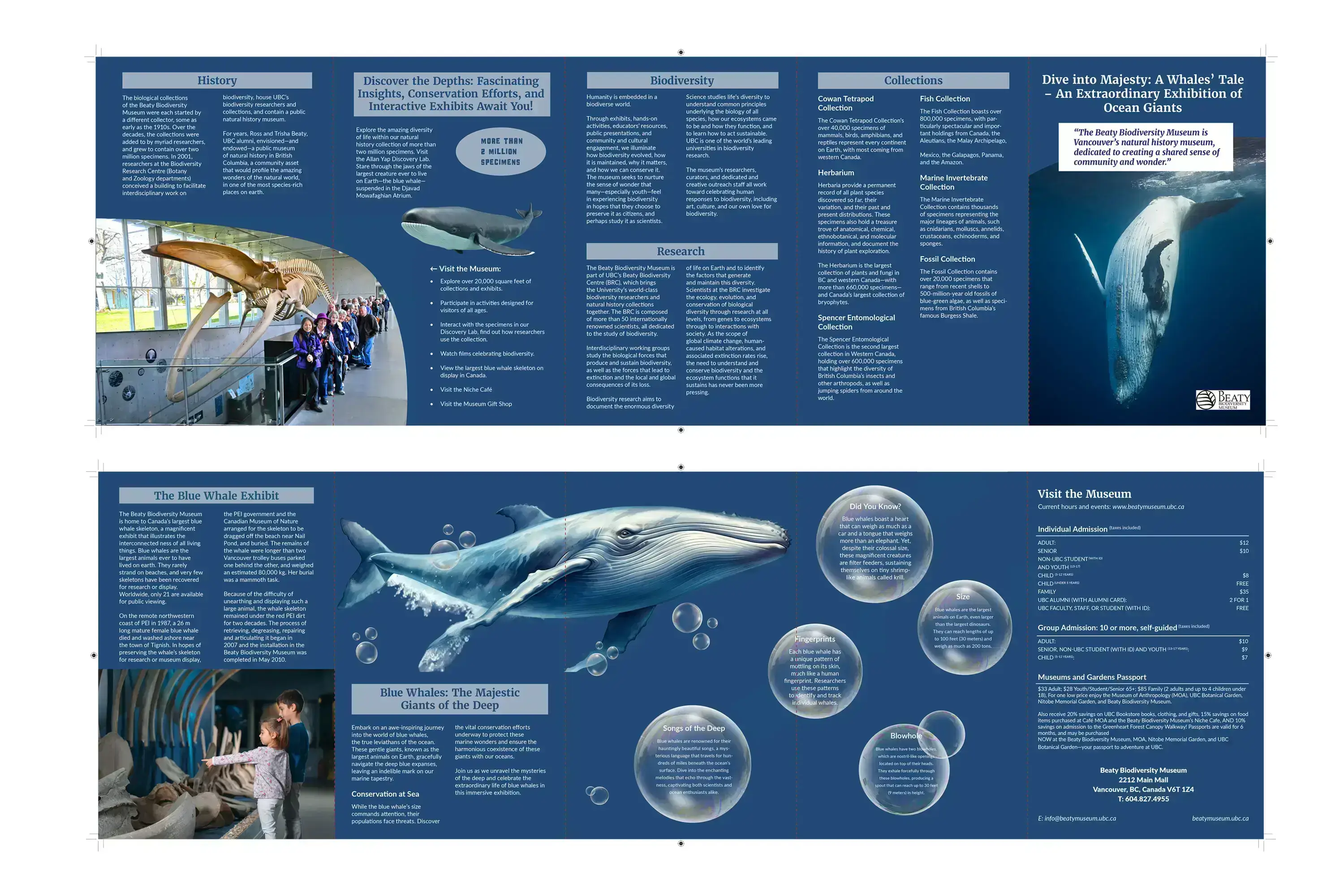 Folding Guides for the Museum Brochure