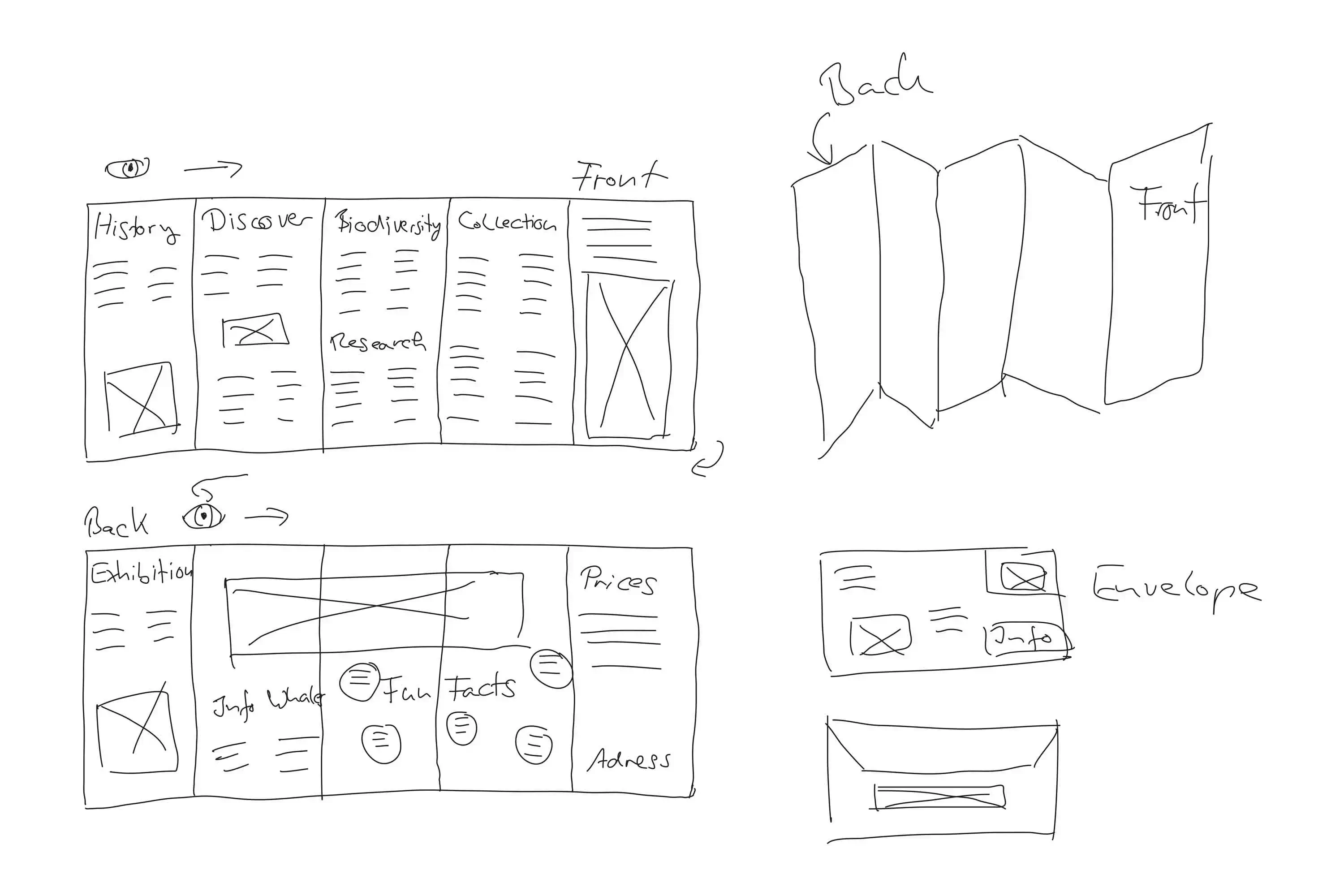 Sketch of the Museum Brochure